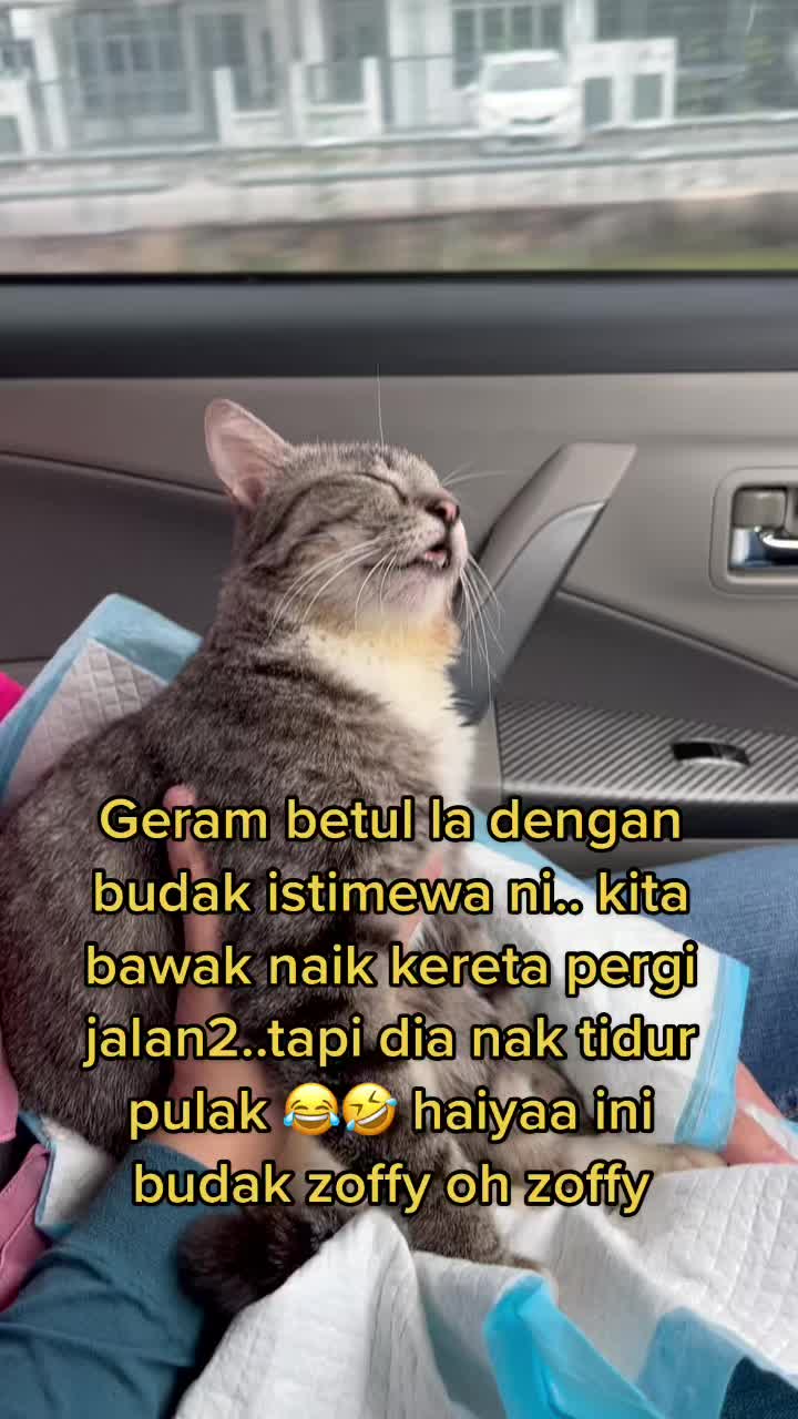 @gengbulus