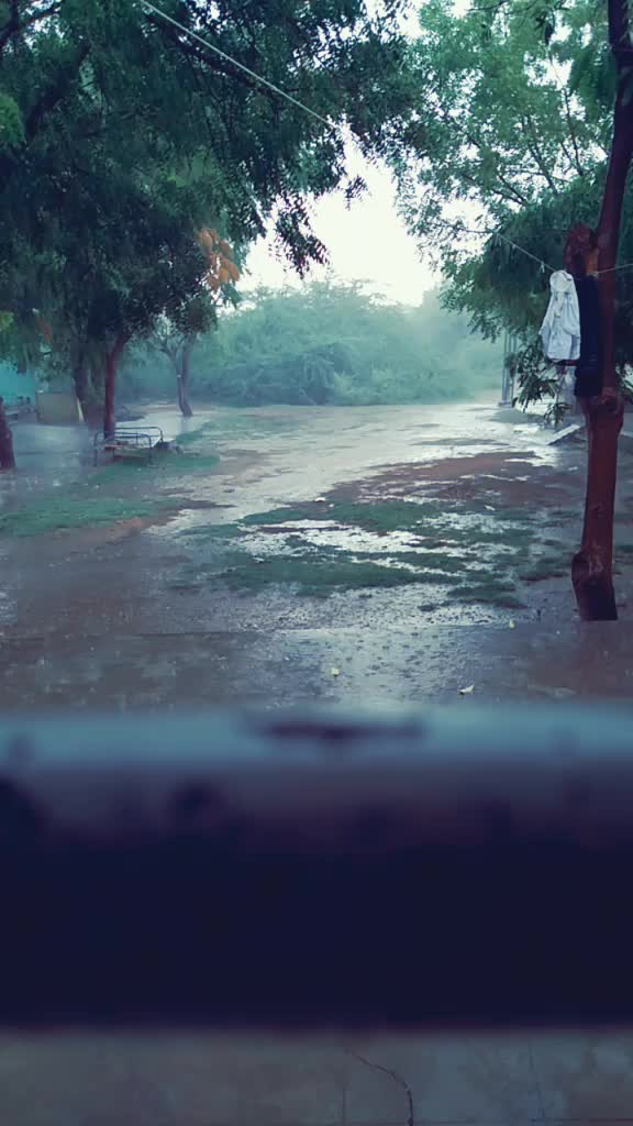 @shrimali jayesh shri