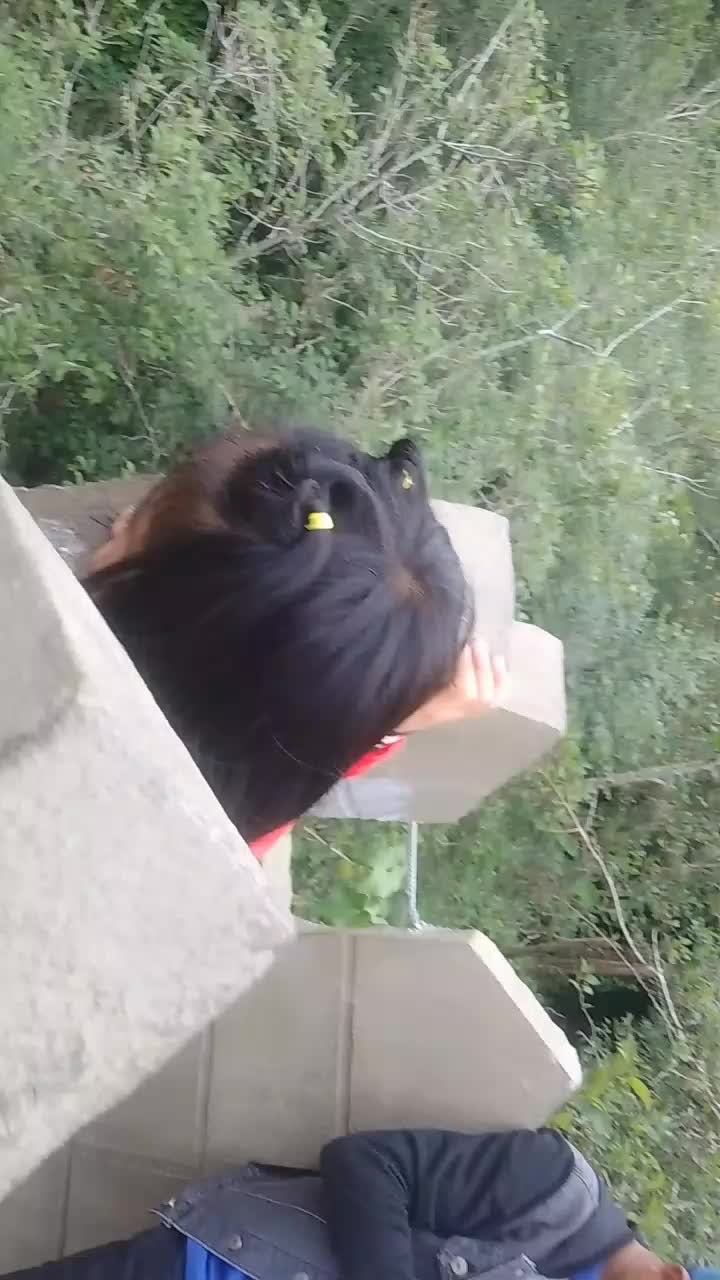 @Debz