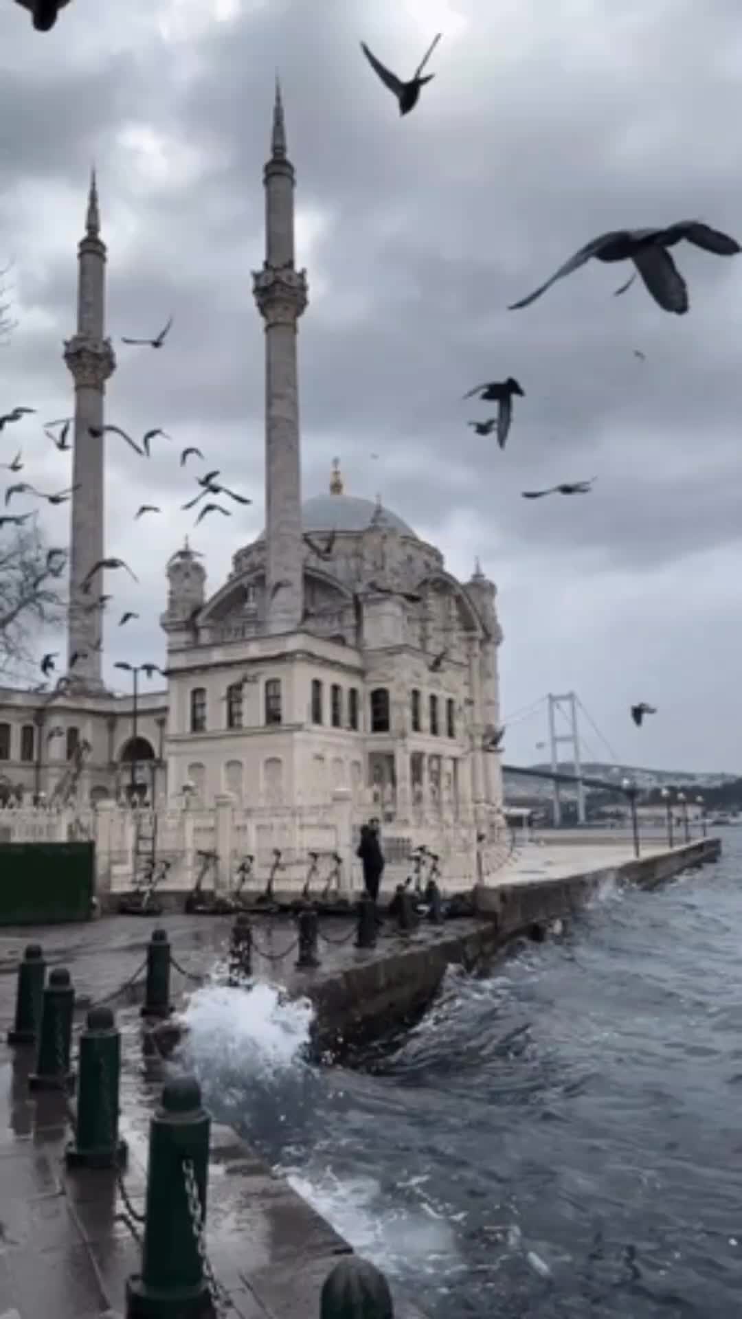 @Hafeeza_100