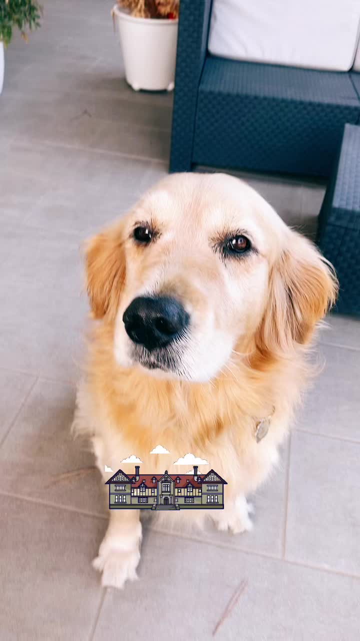 @🐶PENNY🐶