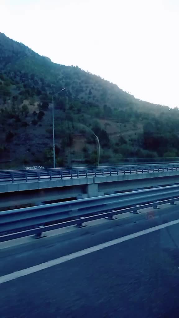 @Şahin