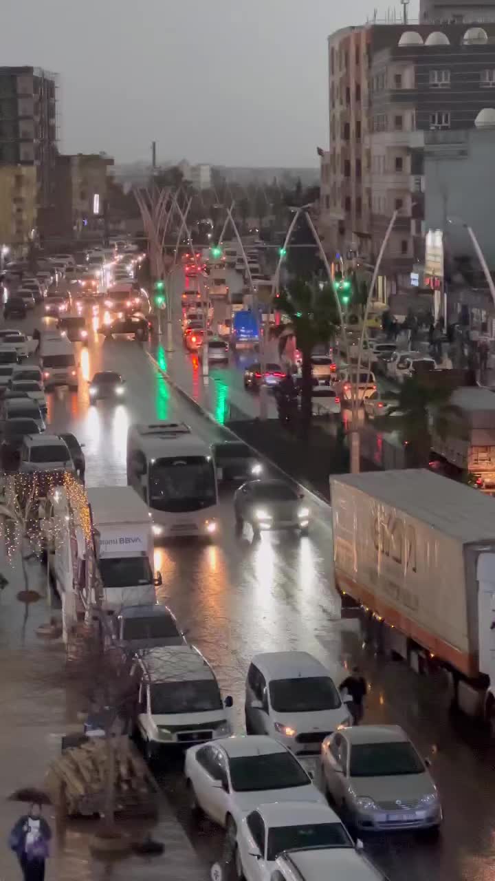 @Sılopya