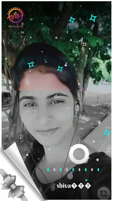 @shiva19442