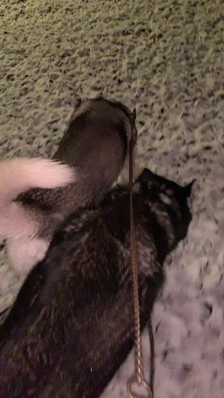 @Neli Káli, 🥰