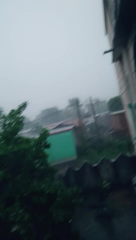 @Panka Jini