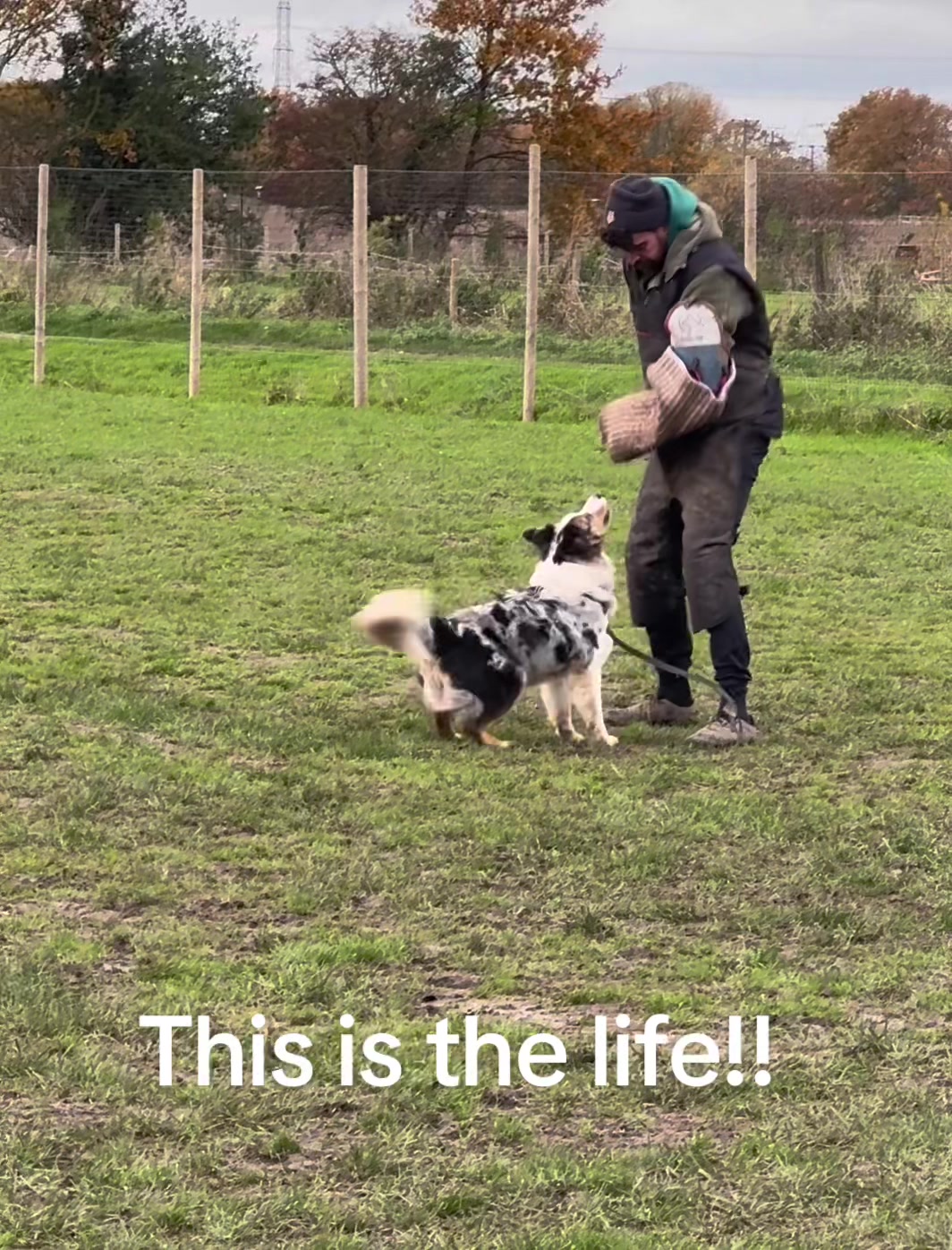 @thedogsportscoach