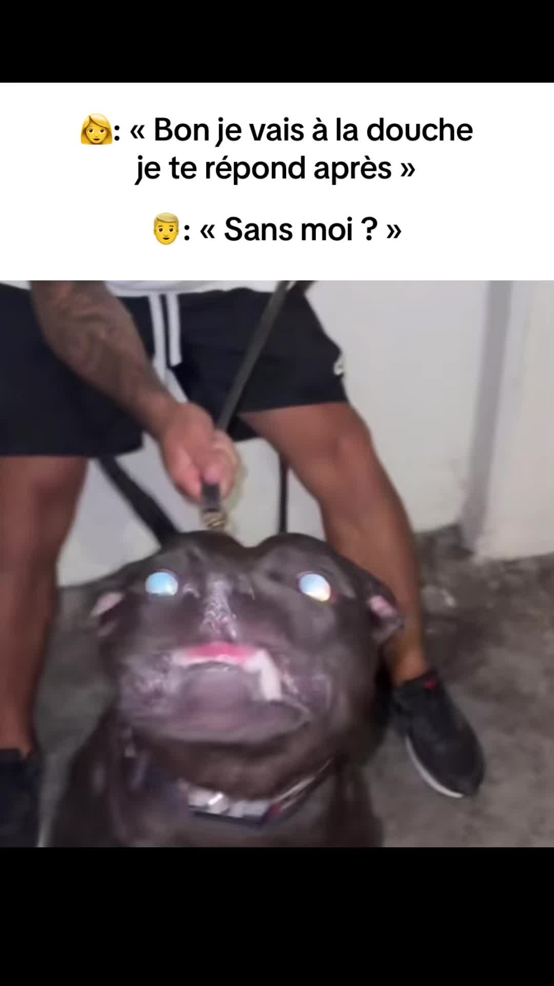 @ciseauphrène✂️