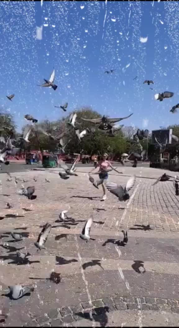 @तृप्ति केशरी💥