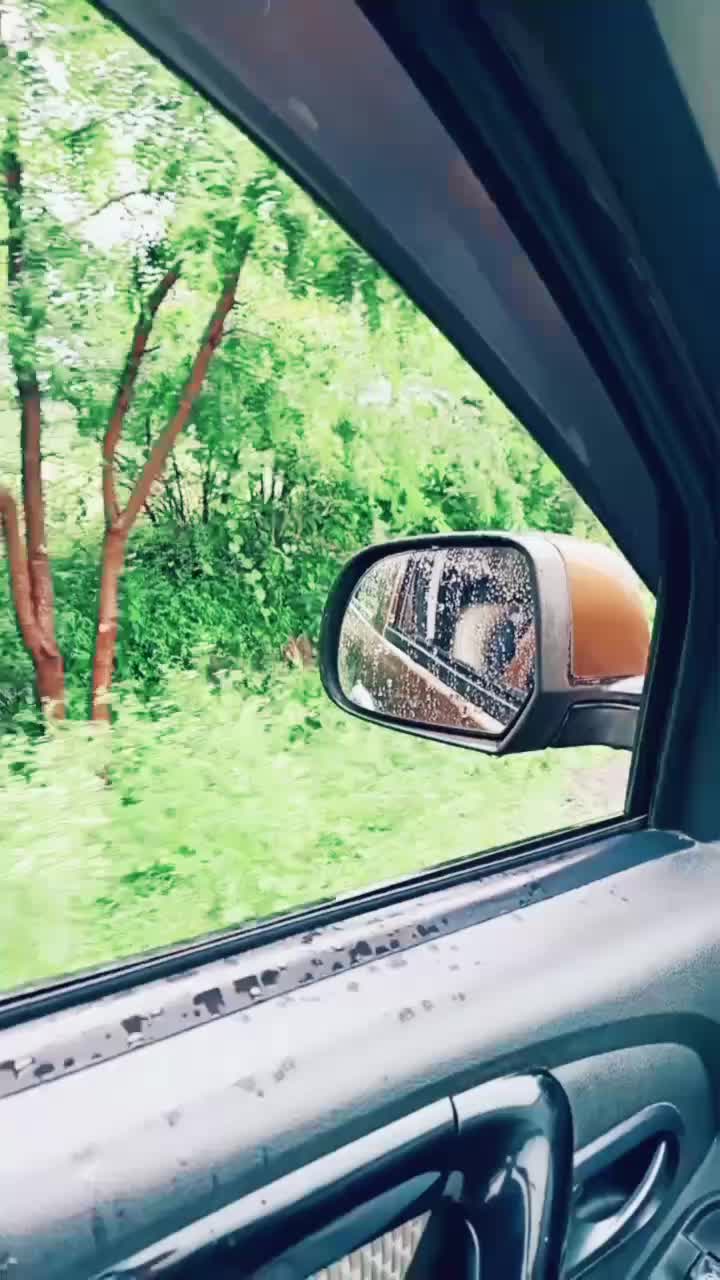 @राजेसाहेबदादा कापसेप
