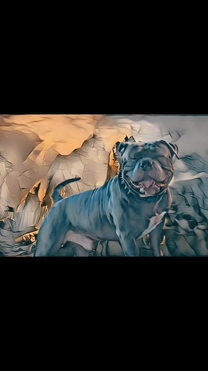 @GordiTheBully