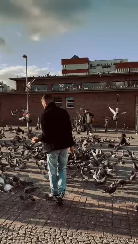 @Hasan Bozkurt