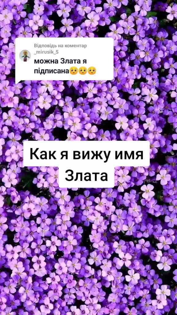 @+380💗🇺🇦