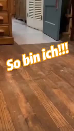 @🇵🇱C.K.🦁