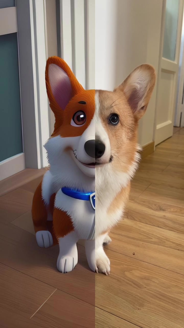 @Monty the Pembroke Welsh Corgi
