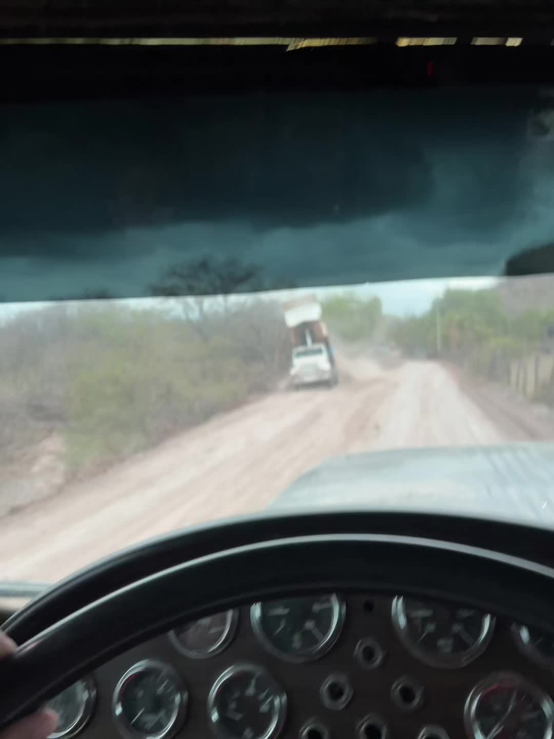 @José Tapia