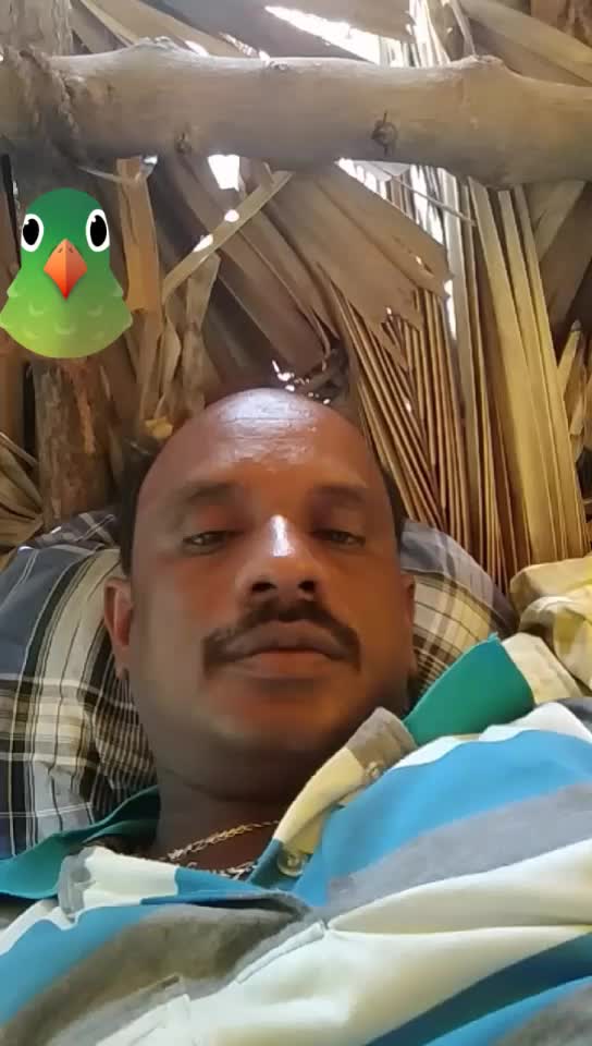 @Ambalavanan
