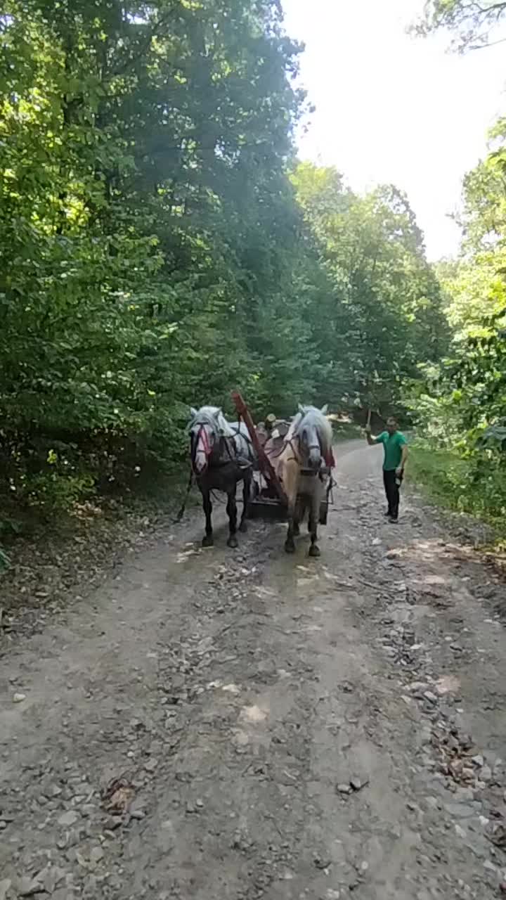 @razvan.ro17