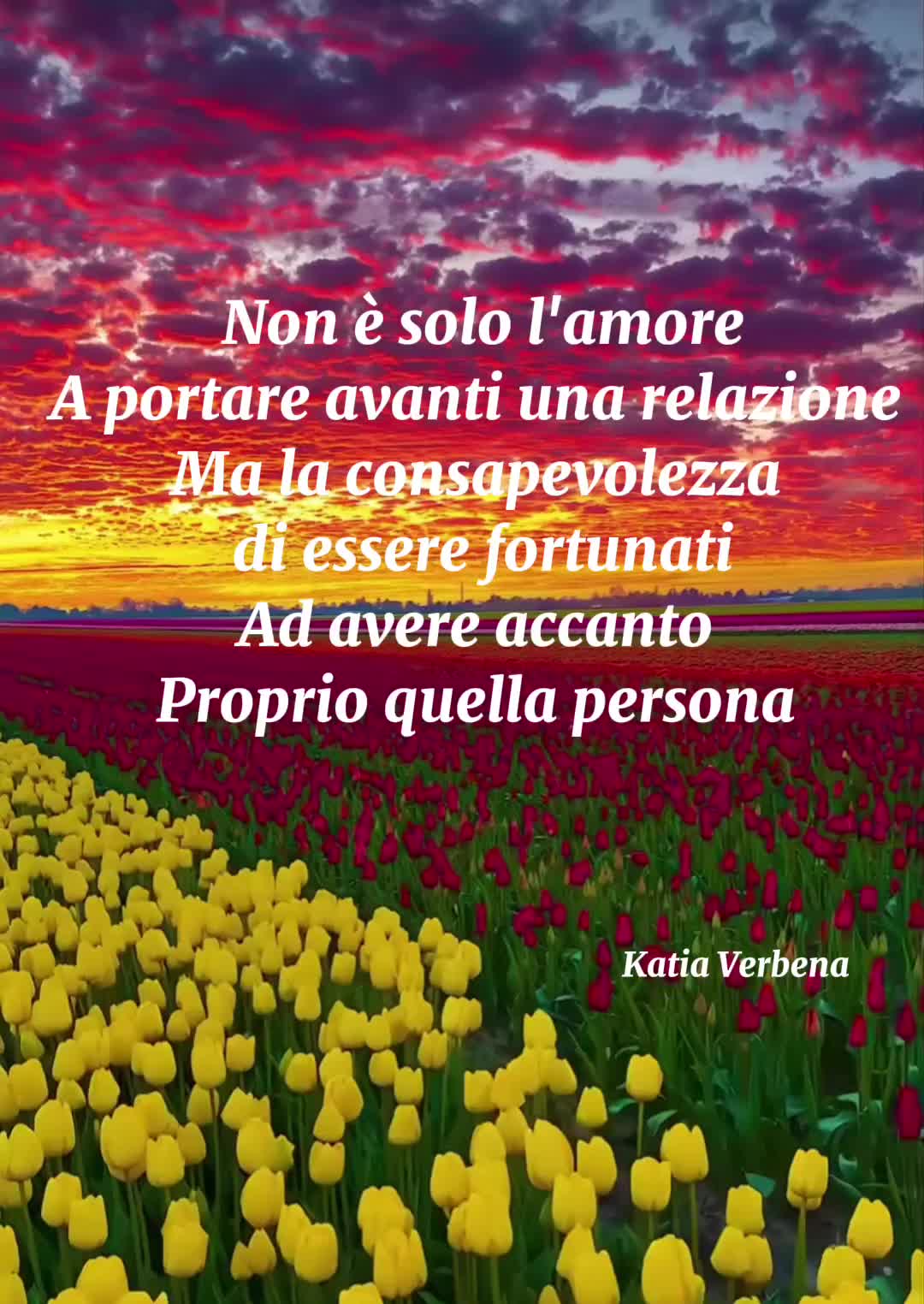 @Katia Verbena