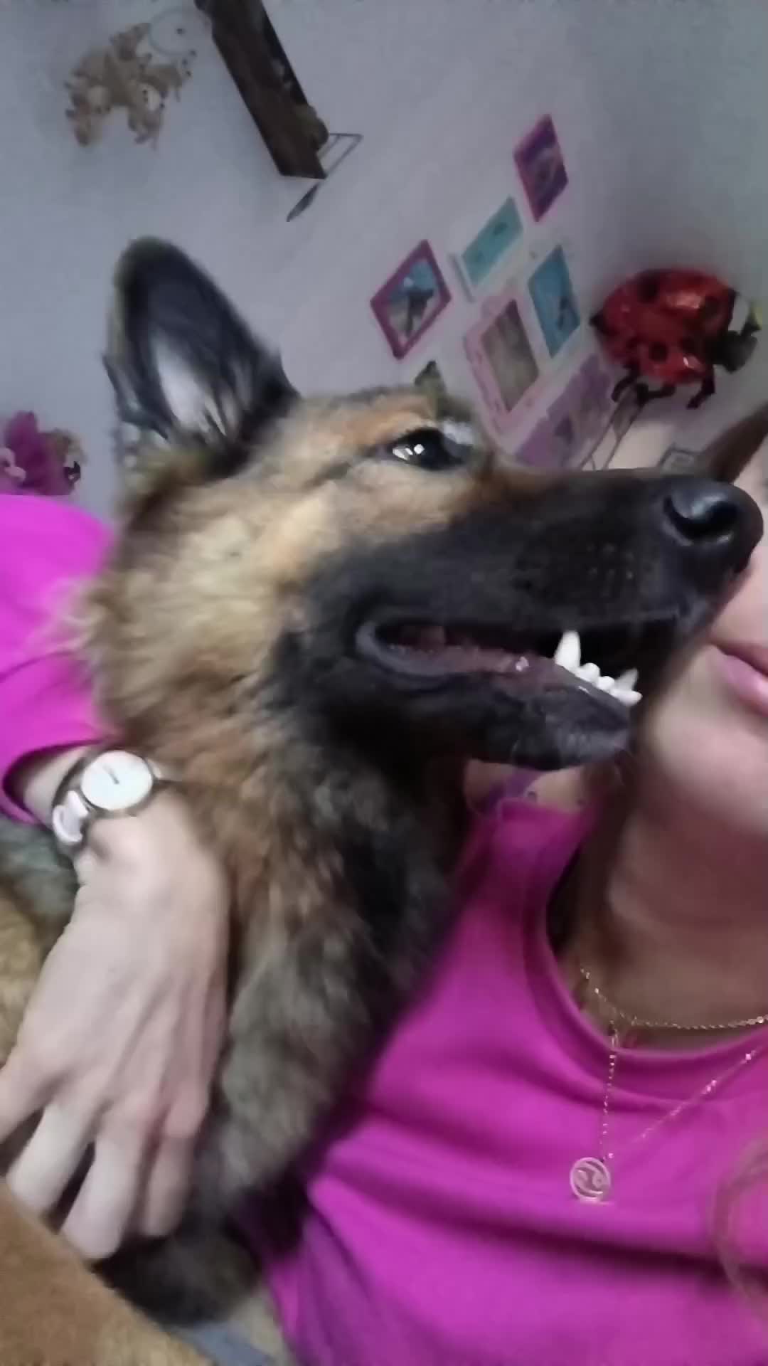 @Lisa Angiolini