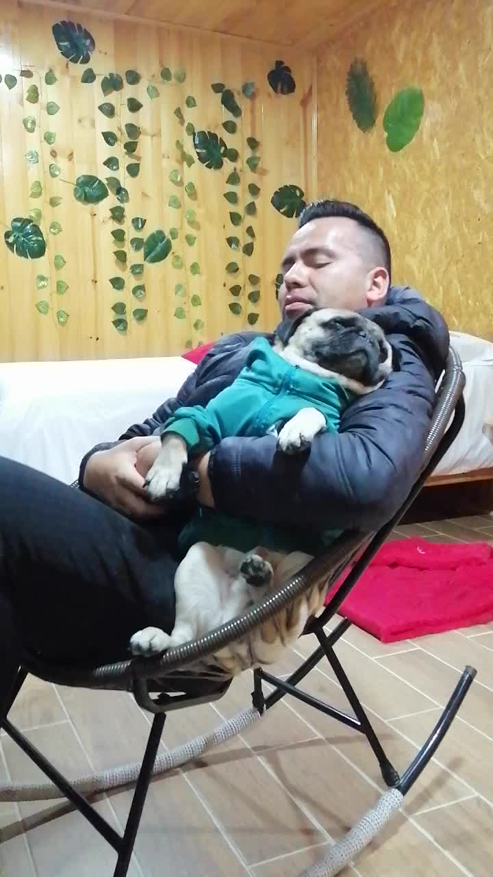 @CHATIRULO 🐶