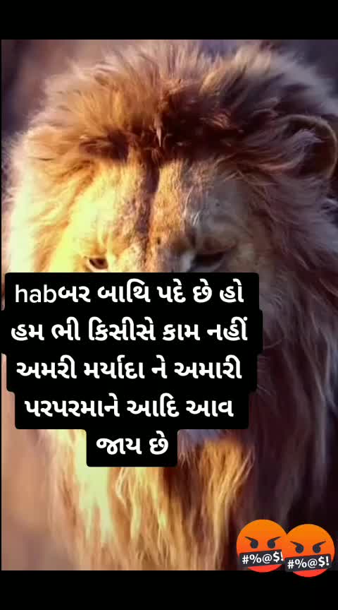 @gandi_gir_ni_sihan