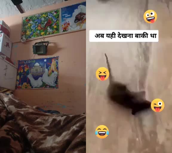 @Abhishek Singh Tomer