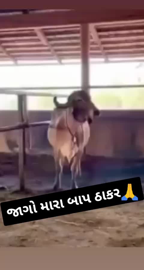 @KaNøØ_BHaRWaD_8699