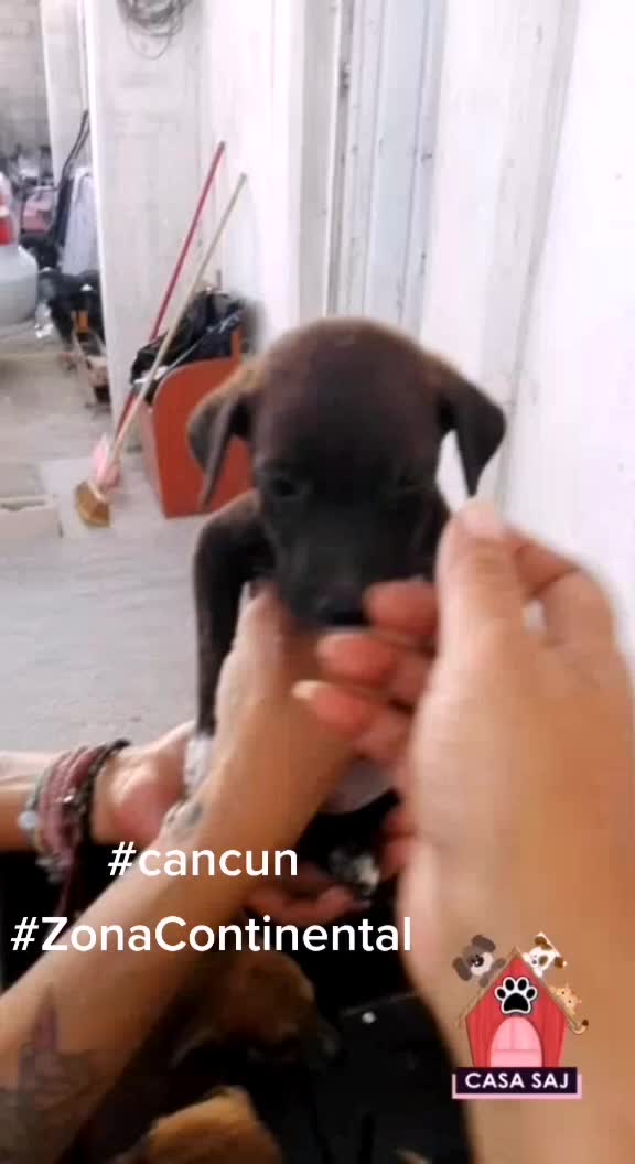 @CasaSAJ