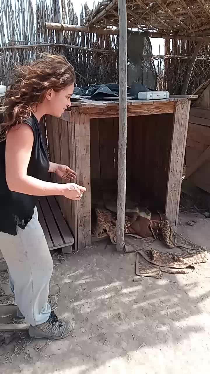 @Les écuries de la roseraie
