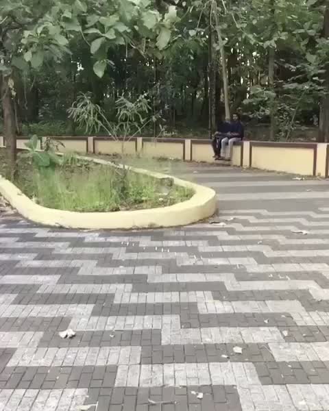 @shabeebfitness