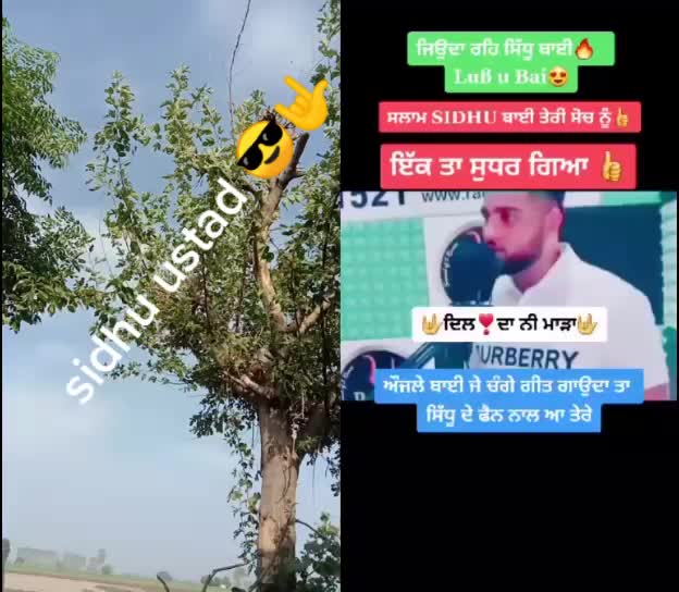 @Rai Saab