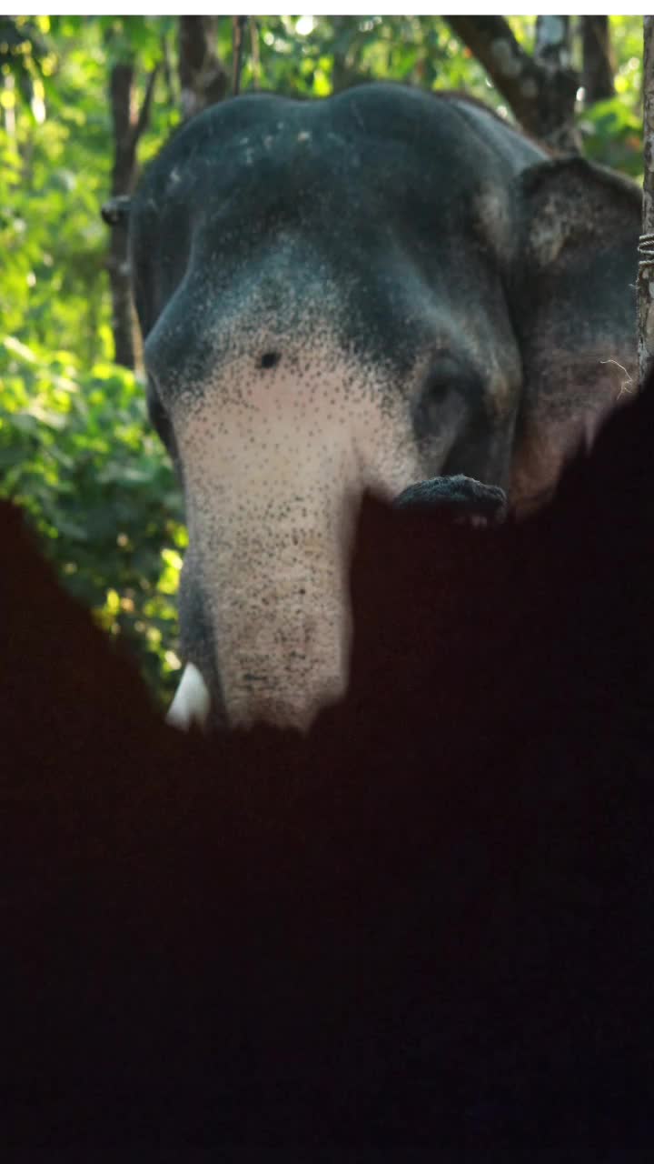 @പെരുവല്ലൂർക്കാരൻ