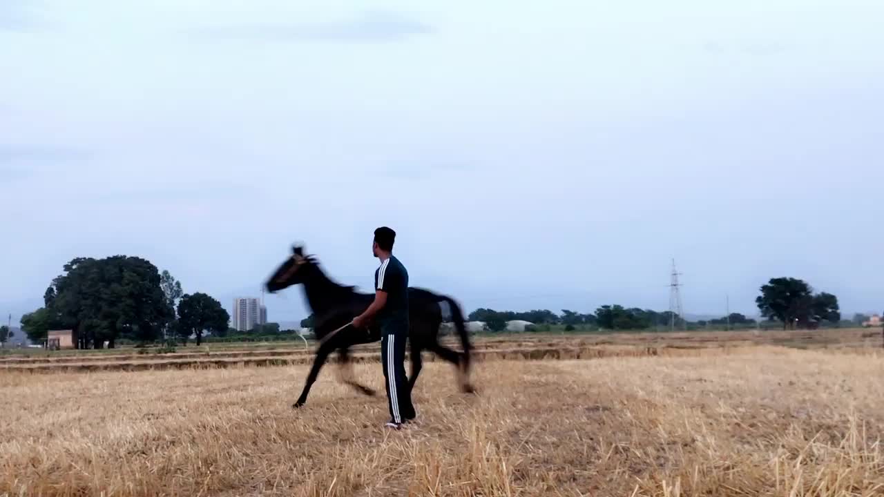@Aman Benipal