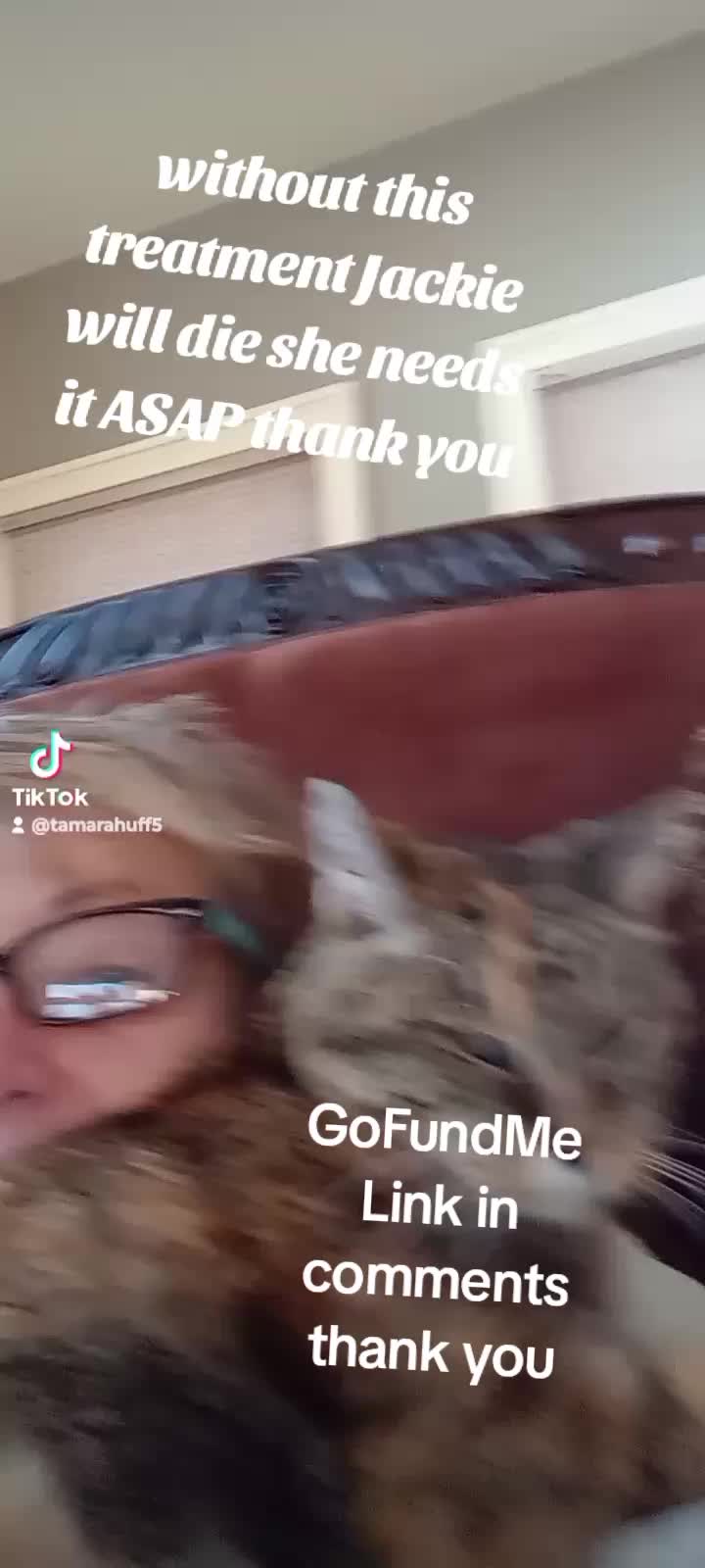 @Tam