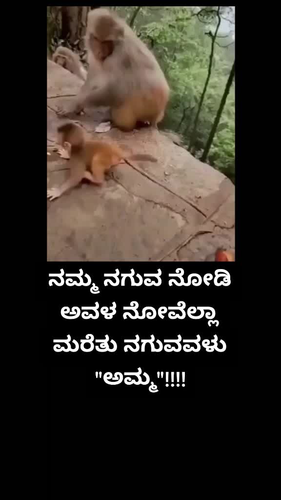 @Shivu