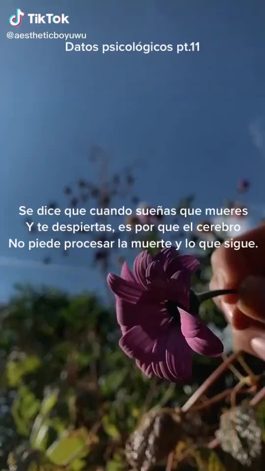 @Datos psicológicos