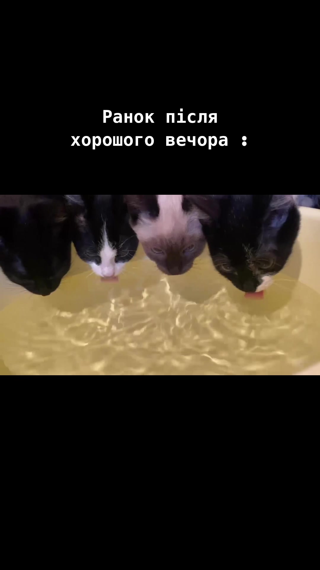 @Баняки