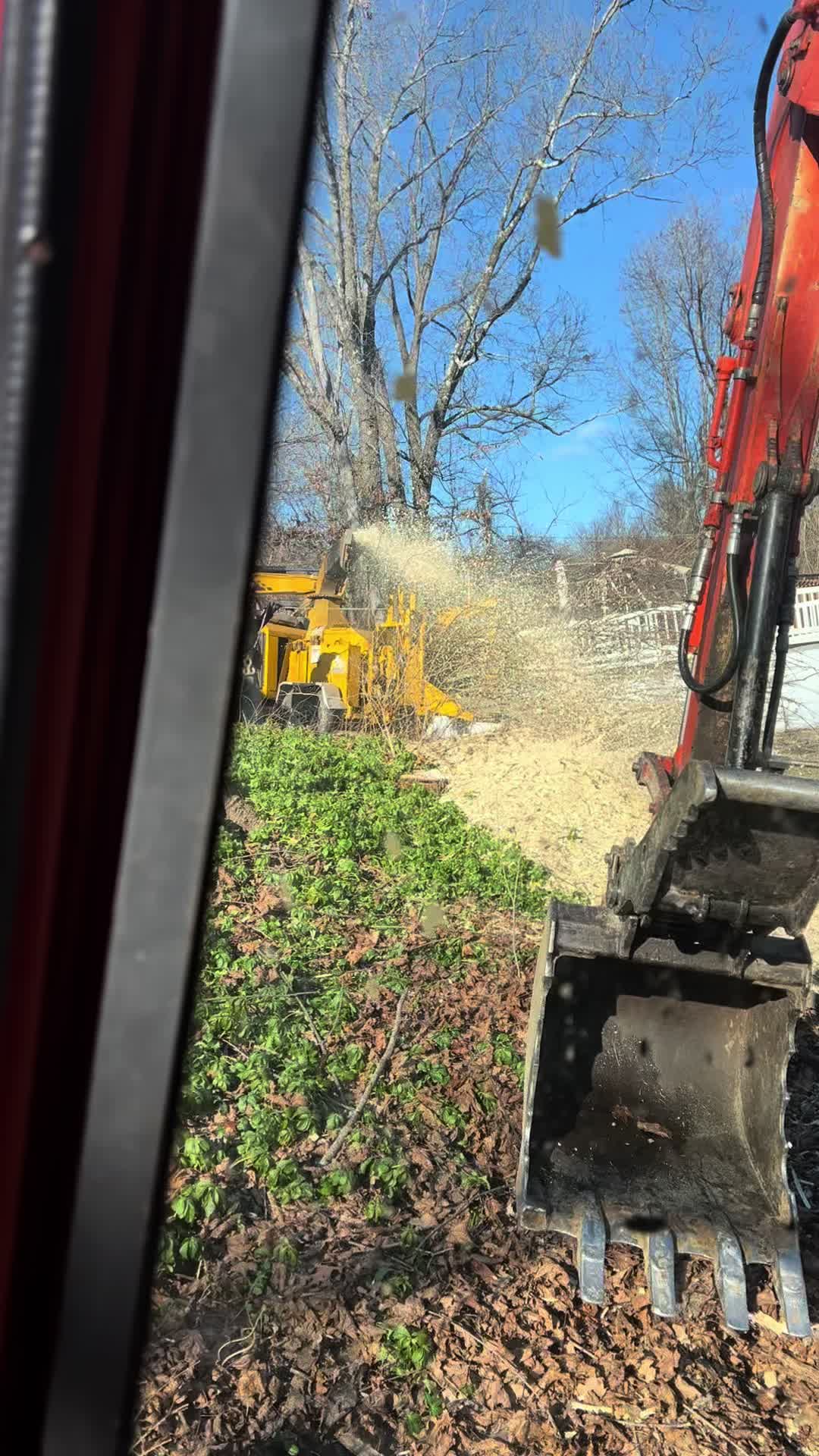 @Chads Tree Service
