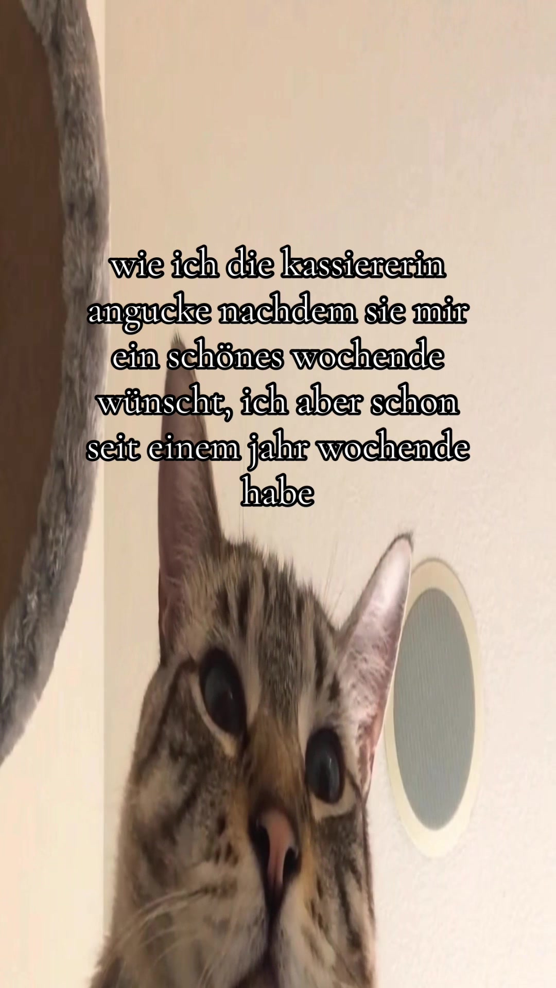 @Eierkopfsalat