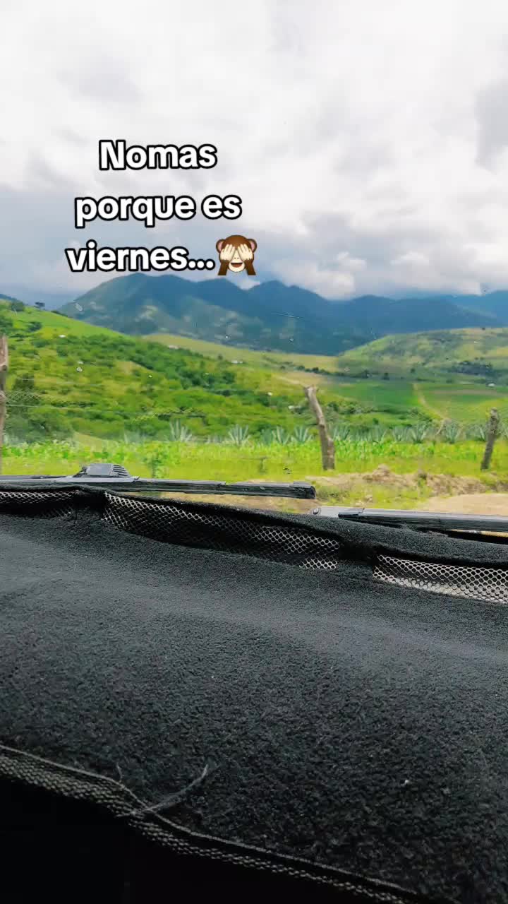 @Mariznolasco