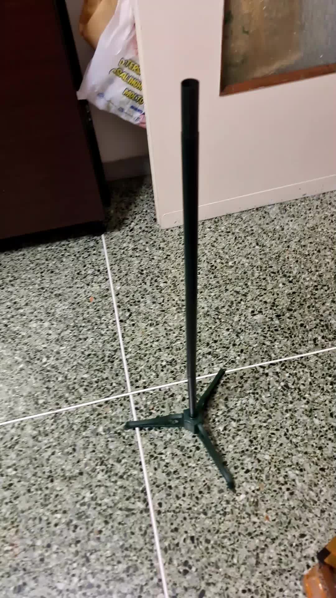 @Ada Russomanno