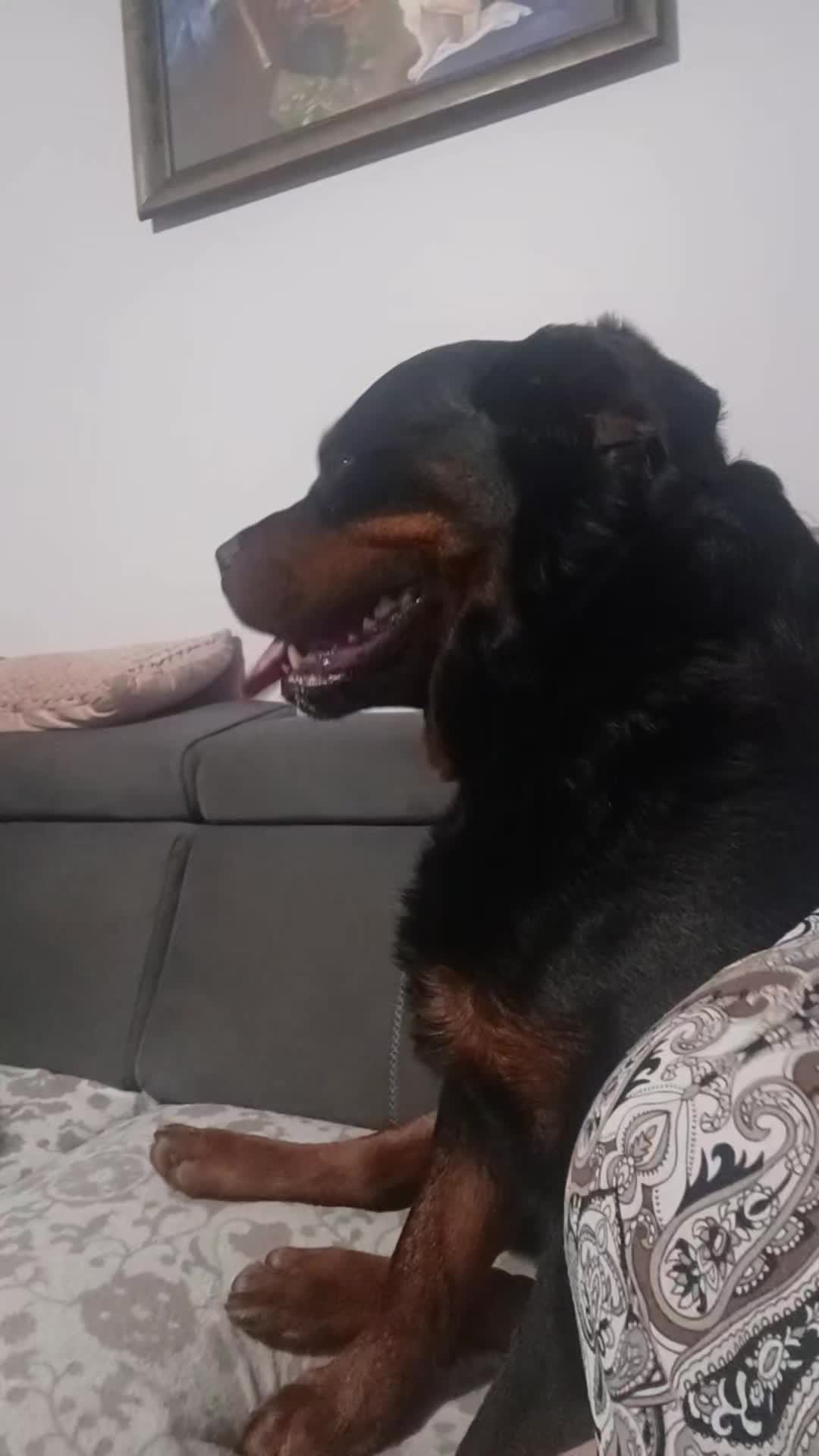 @eelkaa1988wp.pl
