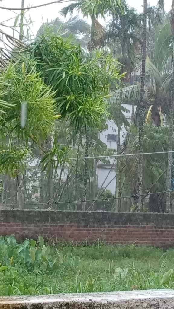 @Ahona Dutta