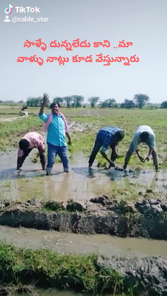 @మడుపల్లి రామారావు