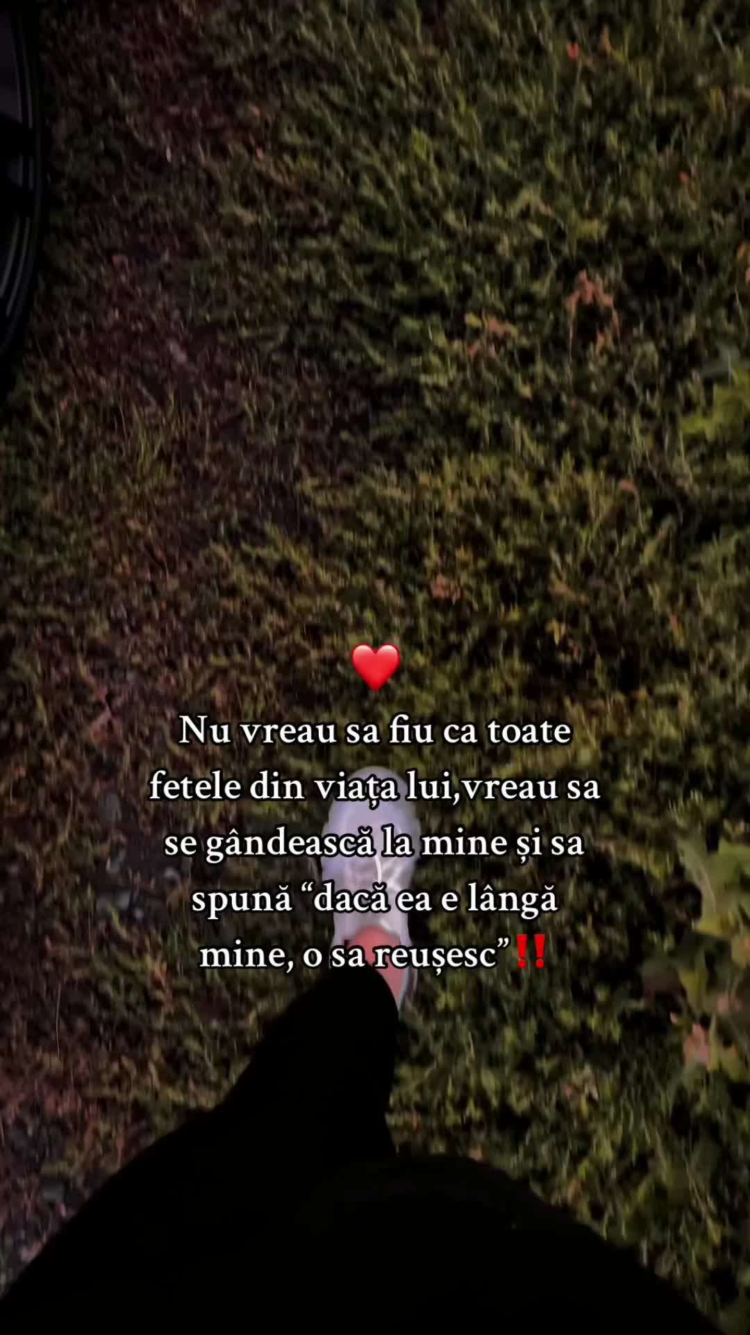 @Roxana💕