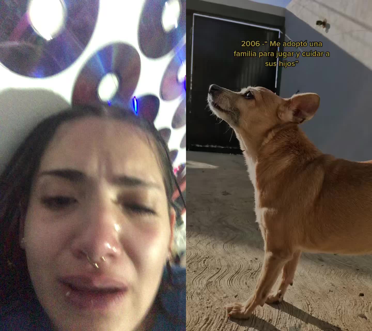 @sheisofineeeok