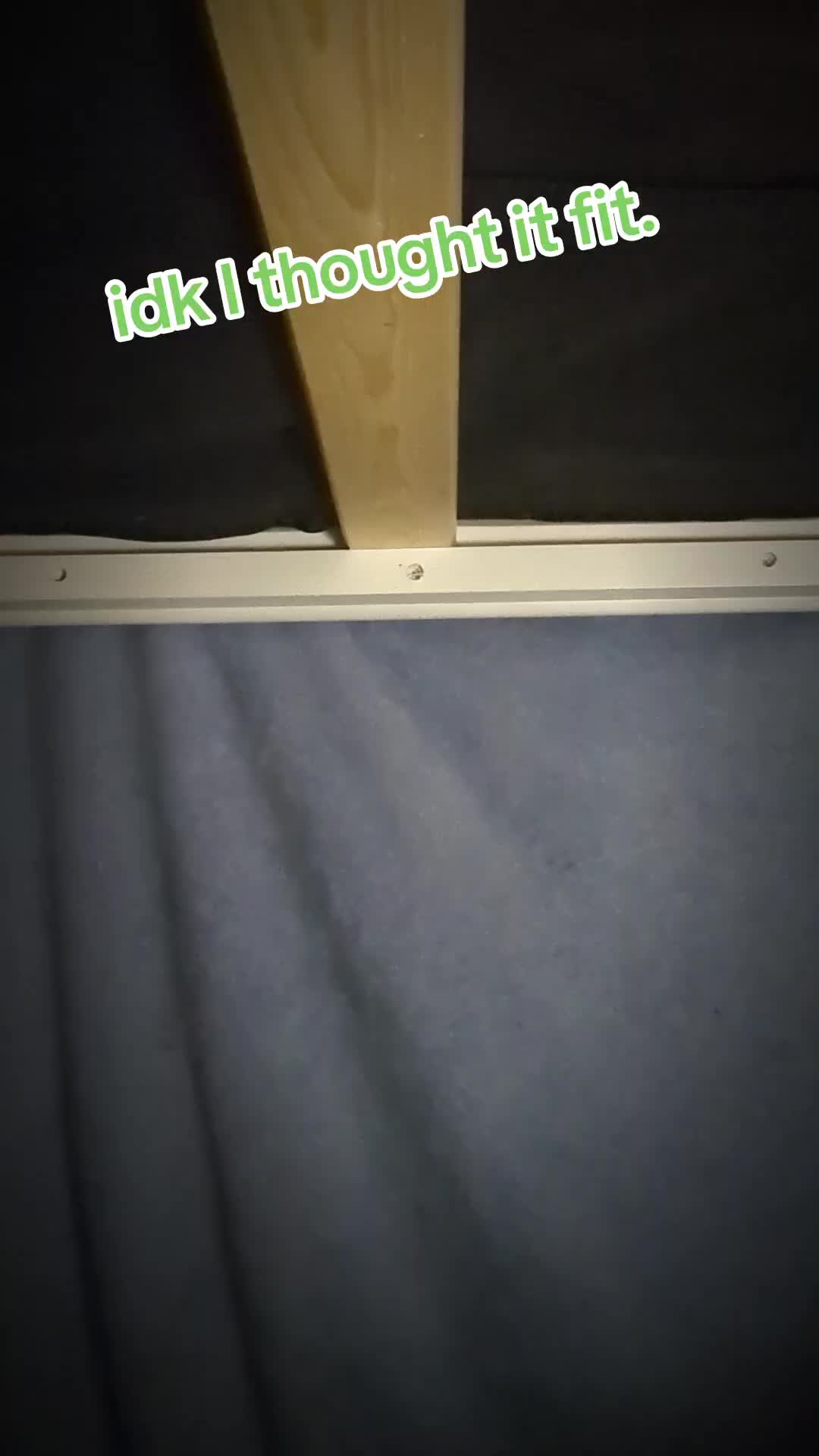@Bee._.floofs