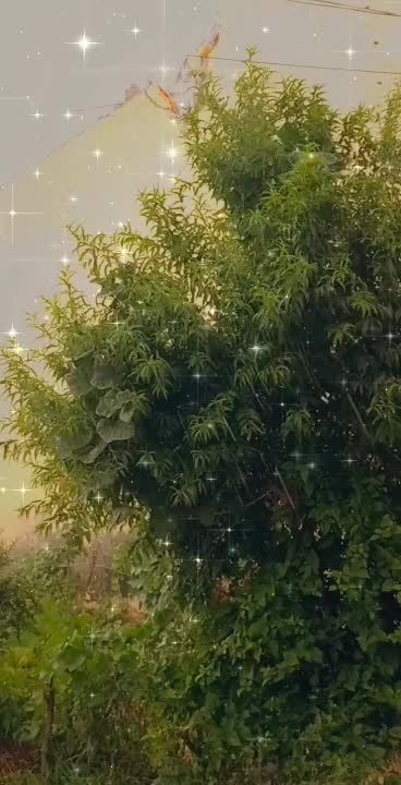 @Pooja negi