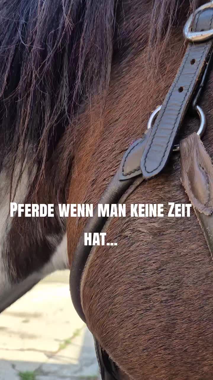 @Herzenspferdanuuk